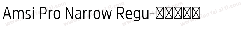 Amsi Pro Narrow Regu字体转换
